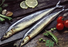 秋刀魚(yú)怎么做好吃?秋刀魚(yú)的做法 秋刀魚(yú)怎么做好吃?秋刀魚(yú)的做法