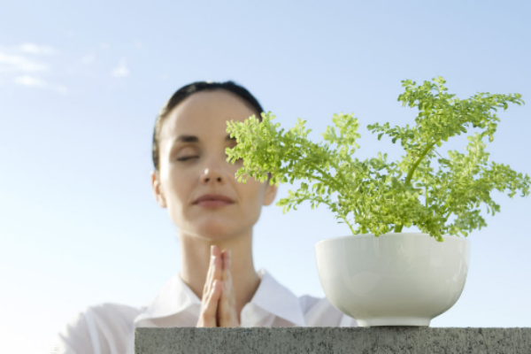 下腹痛、白帶變多，可能是骨盆腔炎