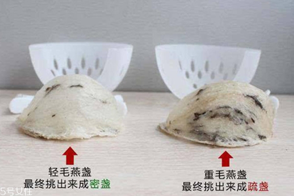 燕窩毛怎么挑 化學(xué)除毛和刷膠掛漿有害健康 燕窩毛怎么挑 化學(xué)除毛和刷膠掛漿有害健康