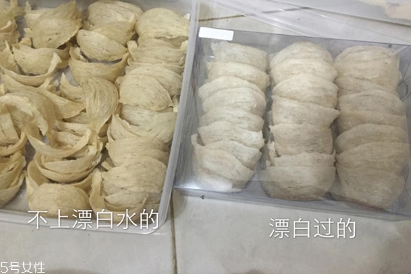 燕窩毛怎么挑 化學(xué)除毛和刷膠掛漿有害健康 燕窩毛怎么挑 化學(xué)除毛和刷膠掛漿有害健康