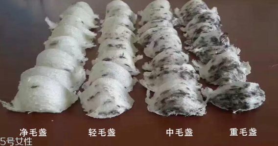 燕窩毛怎么挑 化學(xué)除毛和刷膠掛漿有害健康 燕窩毛怎么挑 化學(xué)除毛和刷膠掛漿有害健康