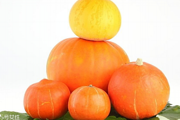 南瓜有幾種 品種很多 南瓜有幾種 品種很多