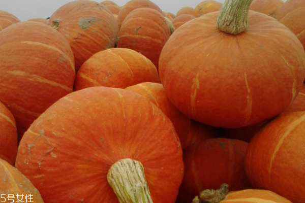 南瓜有幾種 品種很多 南瓜有幾種 品種很多