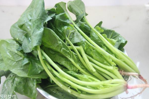 菠菜為什么不能晚上吃 適量還是可以的 菠菜為什么不能晚上吃 適量還是可以的