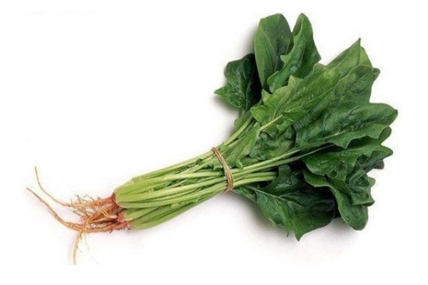菠菜為什么不能晚上吃 適量還是可以的 菠菜為什么不能晚上吃 適量還是可以的