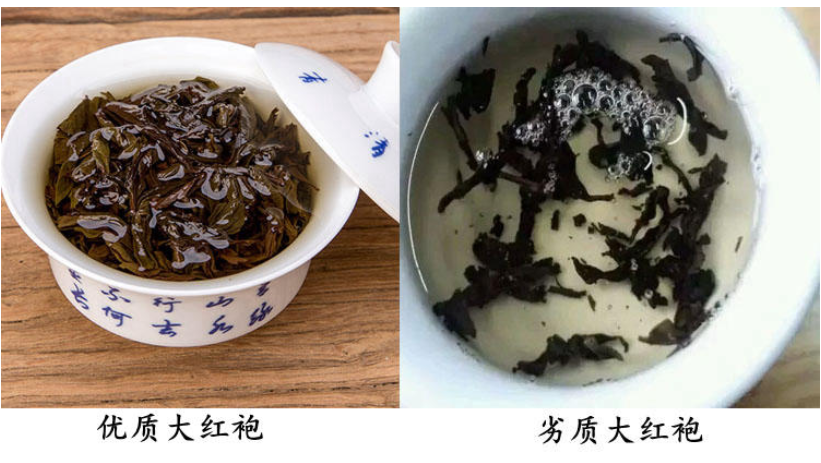 大紅袍的葉底顏色 和癩蛤蟆一個色 大紅袍的葉底顏色 和癩蛤蟆一個色