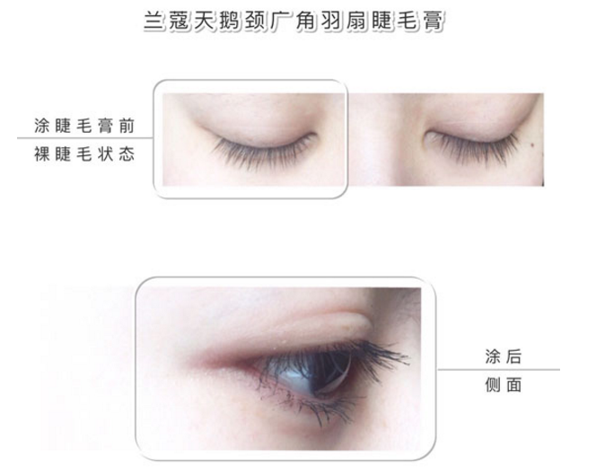 哪種睫毛膏的效果最好 十款熱門(mén)睫毛膏評(píng)測(cè)