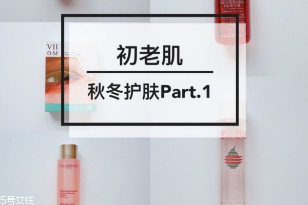 初老肌的秋冬護膚 皮膚不老的秘密 初老肌的秋冬護膚 皮膚不老的秘密
