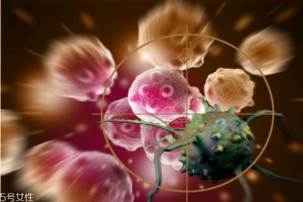 防癌效果好的食物 12原則不是說說 防癌效果好的食物 12原則不是說說