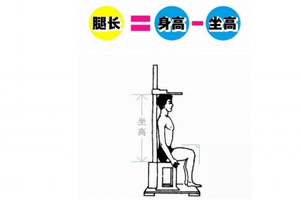 什么樣的腿算長(zhǎng) 你知道怎樣是真正的腿精 什么樣的腿算長(zhǎng) 你知道怎樣是真正的腿精