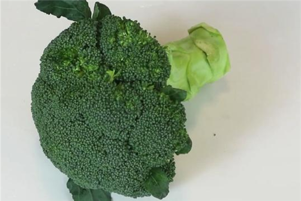 西蘭花里的蟲子怎么辦 一招清洗蟲卵全出來(lái)