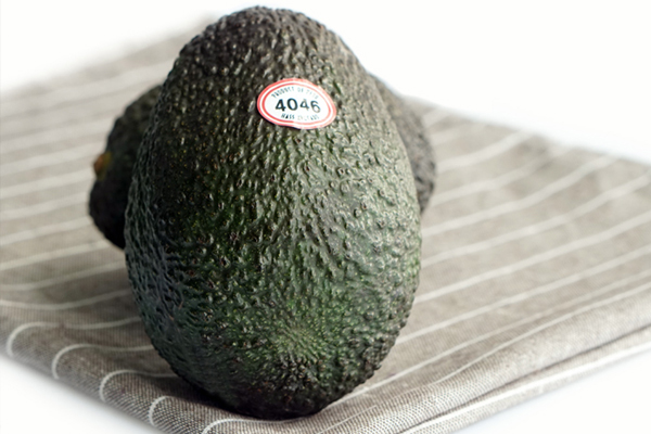 牛油果什么顏色的好 牛油果熟了什么顏色 牛油果什么顏色的好 牛油果熟了什么顏色