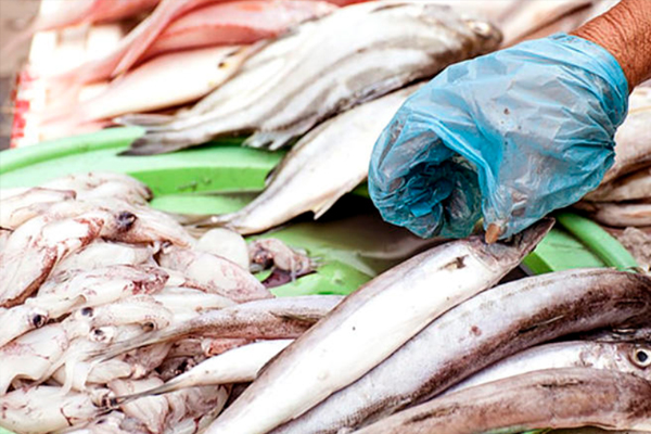 如何判斷三文魚(yú)是否新鮮 三文魚(yú)新鮮判斷方法