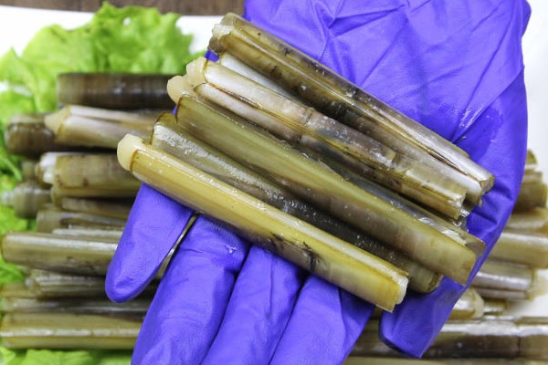 蟶子有寄生蟲嗎 有可能會(huì)有 蟶子有寄生蟲嗎 有可能會(huì)有