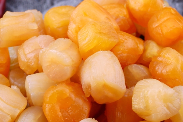 瑤柱的功效與作用 主要是以下功效 瑤柱的功效與作用 主要是以下功效