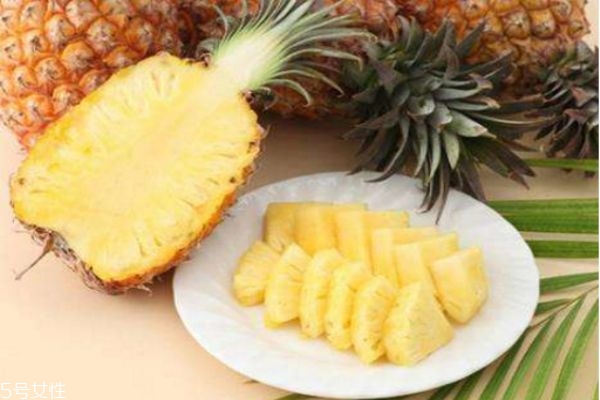 菠蘿怎么種 自己在家種菠蘿的方法 菠蘿怎么種 自己在家種菠蘿的方法