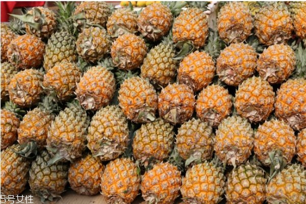 菠蘿怎么種 自己在家種菠蘿的方法 菠蘿怎么種 自己在家種菠蘿的方法