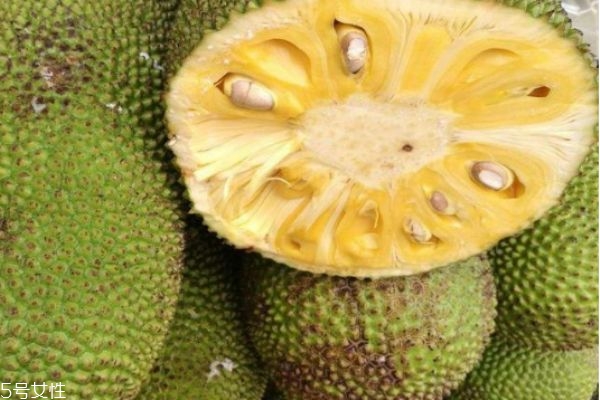 菠蘿蜜一次可以吃幾顆 菠蘿蜜食用注意事項 菠蘿蜜一次可以吃幾顆 菠蘿蜜食用注意事項