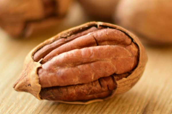 碧根果好吃嗎 美味又營養(yǎng) 碧根果好吃嗎 美味又營養(yǎng)