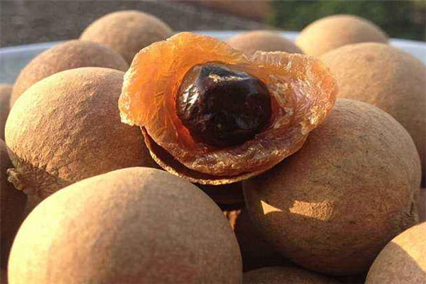 桂圓放久了還能吃嗎 看具體情況 桂圓放久了還能吃嗎 看具體情況