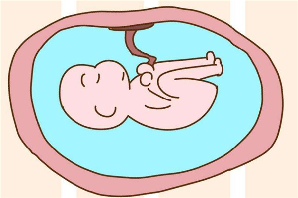 子宮移植幫助實(shí)現(xiàn)懷孕夢(mèng)想 子宮移植幫助實(shí)現(xiàn)懷孕夢(mèng)想