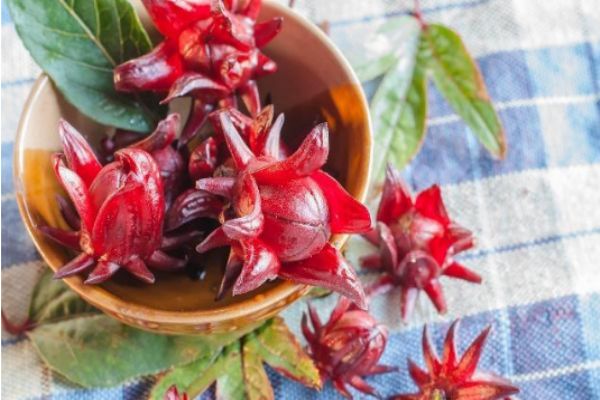 洛神花茶有花青素嗎 洛神花茶可以美白嗎