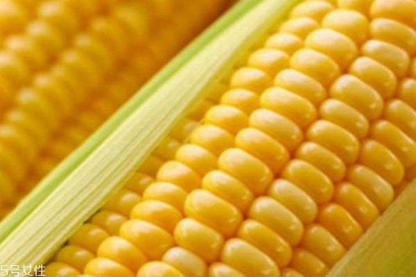 糯玉米和甜玉米的區(qū)別 以顏色區(qū)分 糯玉米和甜玉米的區(qū)別 以顏色區(qū)分