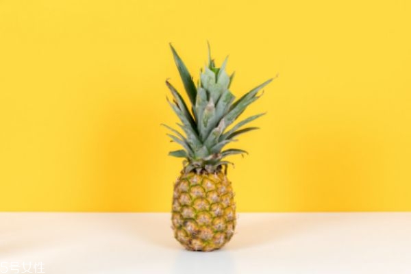 菠蘿應(yīng)該怎么吃 菠蘿家常菜的做法大全 菠蘿應(yīng)該怎么吃 菠蘿家常菜的做法大全