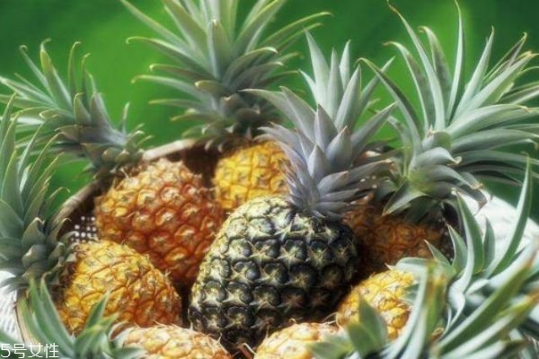 怎么區(qū)分菠蘿和鳳梨 菠蘿和鳳梨有什么不同 怎么區(qū)分菠蘿和鳳梨 菠蘿和鳳梨有什么不同