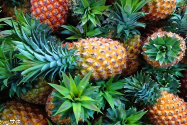 怎么區(qū)分菠蘿和鳳梨 菠蘿和鳳梨有什么不同 怎么區(qū)分菠蘿和鳳梨 菠蘿和鳳梨有什么不同