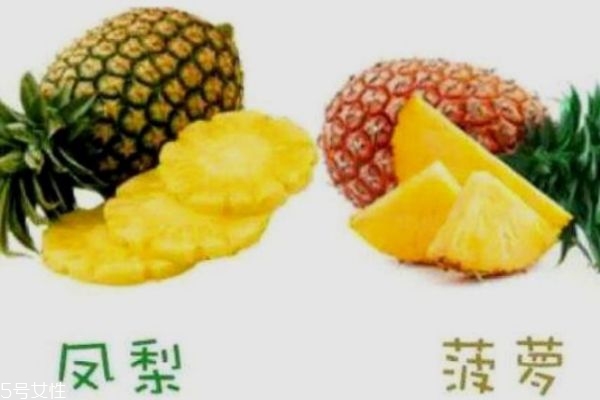 怎么區(qū)分菠蘿和鳳梨 菠蘿和鳳梨有什么不同 怎么區(qū)分菠蘿和鳳梨 菠蘿和鳳梨有什么不同