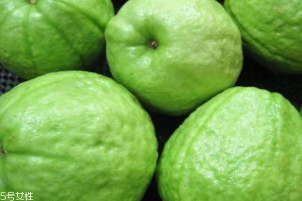 芭樂的皮能吃嗎 芭樂怎么分辨是否成熟 芭樂的皮能吃嗎 芭樂怎么分辨是否成熟