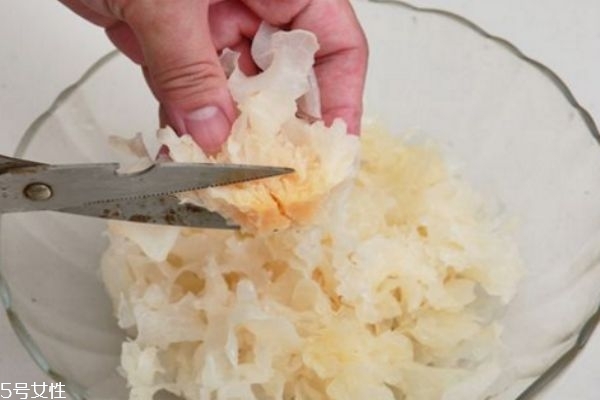 銀耳用焯水嗎 分情況而定 銀耳用焯水嗎 分情況而定