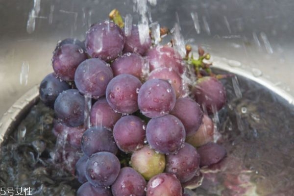 葡萄怎么清洗干凈 葡萄的營(yíng)養(yǎng)價(jià)值及功效 葡萄怎么清洗干凈 葡萄的營(yíng)養(yǎng)價(jià)值及功效