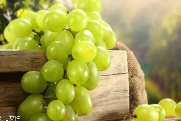 提子和葡萄的區(qū)別 提子和葡萄的共同之處 提子和葡萄的區(qū)別 提子和葡萄的共同之處