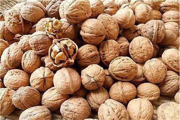 核桃可以補腦嗎 核桃怎么吃好 核桃可以補腦嗎 核桃怎么吃好