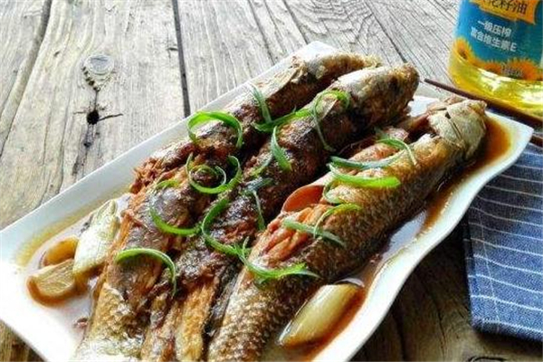 梭魚是淡水魚還是海魚 梭魚屬性介紹 梭魚是淡水魚還是海魚 梭魚屬性介紹