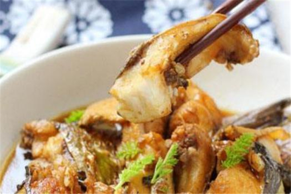 梭魚是淡水魚還是海魚 梭魚屬性介紹 梭魚是淡水魚還是海魚 梭魚屬性介紹