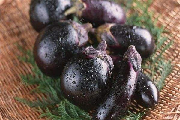 茄子為什么會(huì)變黑 茄子變黑的原因 茄子為什么會(huì)變黑 茄子變黑的原因