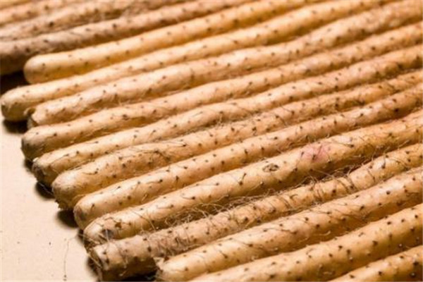 山藥怎么吃最有營養(yǎng) 山藥怎么吃好 山藥怎么吃最有營養(yǎng) 山藥怎么吃好