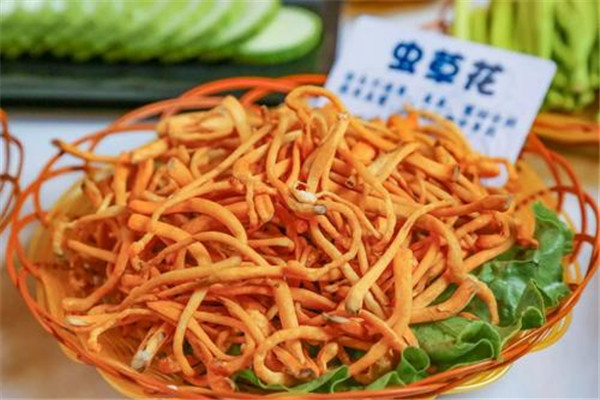 蟲草花可以泡茶喝嗎 蟲草花能不能泡茶 蟲草花可以泡茶喝嗎 蟲草花能不能泡茶