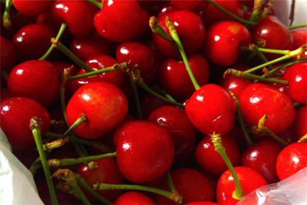 櫻桃變質(zhì)了是什么味道 櫻桃怎么看變質(zhì) 櫻桃變質(zhì)了是什么味道 櫻桃怎么看變質(zhì)