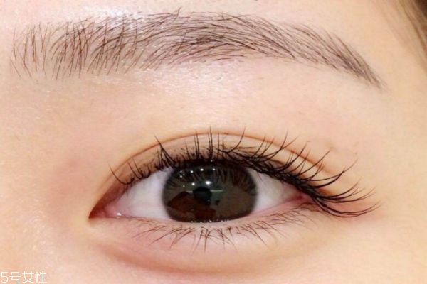 哪些人不適合嫁接睫毛 種植眼睫毛有損害 哪些人不適合嫁接睫毛 種植眼睫毛有損害