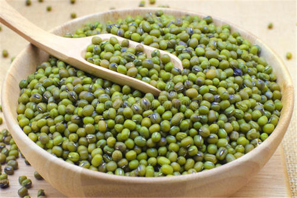 綠豆放了一年還能吃嗎 陳綠豆可以吃嗎 綠豆放了一年還能吃嗎 陳綠豆可以吃嗎