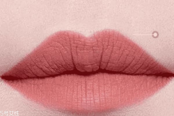 有哪些色號比較適合冷皮 適合冷皮的口紅顏色 有哪些色號比較適合冷皮 適合冷皮的口紅顏色