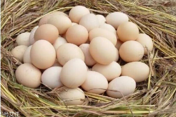 土雞蛋真的更有營養(yǎng)嗎 土雞蛋比普通雞蛋更有營養(yǎng) 土雞蛋真的更有營養(yǎng)嗎 土雞蛋比普通雞蛋更有營養(yǎng)