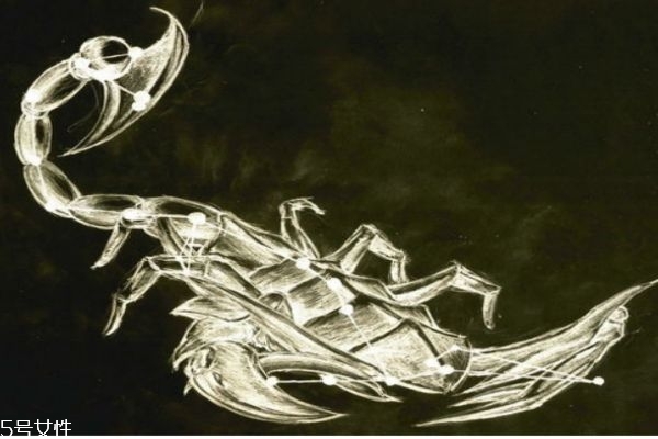 天蝎座的人是個什么樣的性格呢 如何和天蝎座成為朋友 天蝎座的人是個什么樣的性格呢 如何和天蝎座成為朋友