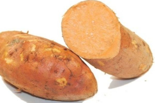 紅薯生的可以吃嗎 紅薯有什么功效 紅薯生的可以吃嗎 紅薯有什么功效