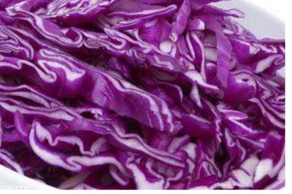 什么是紫甘藍呢 紫甘藍有什么作用呢 什么是紫甘藍呢 紫甘藍有什么作用呢