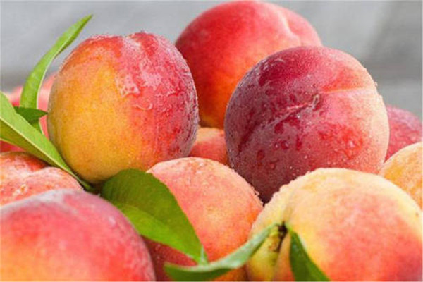 桃子的熱量高嗎 一般來(lái)說(shuō)桃子的熱量不高 桃子的熱量高嗎 一般來(lái)說(shuō)桃子的熱量不高